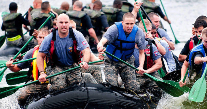 Fight Breaks Out mattis felis consectetur
